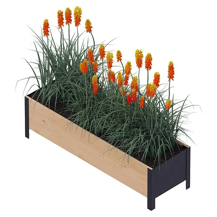 Upyard Pflanzkasten Modernbox niedrig - 118 x 36 x 32 cm, Holz, Braun/Schwarz - Ein erhöhter Pflanzkasten aus Holz mit leuchtend orangefarbenen Fackellilien, ideal für Garten oder Terrasse.