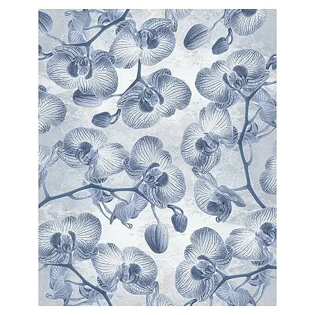 Komar  Fototapete Orchidee
