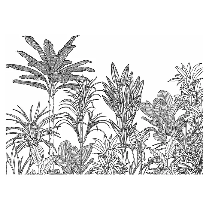 Komar Fototapete SavannaB x H: 350 x 250 cm, Vlies - Eine Schwarz-Weiß-Illustration von tropischen Pflanzen, darunter Bananenstauden, mit detaillierten Blättern und linearen Texturen.