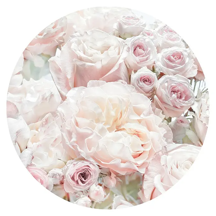Komar Dots Fototapete rund Pink and Cream Roses - 128 cm, Selbstklebend - Nahaufnahme von zarten, hellrosa Rosen, die Eleganz und Romantik ausstrahlen, perfekt für Hochzeiten oder als Dekoration.