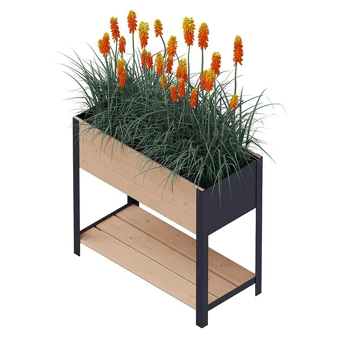 Upyard Huerto Modernbox alto - 78 x 36 x 72 cm, Madera, Marrón - La jardinera con estante está plantada con exuberantes flores de Kniphofia de color naranja rojizo y pastos azul verdosos. El revestimiento de madera proporciona un buen contraste.