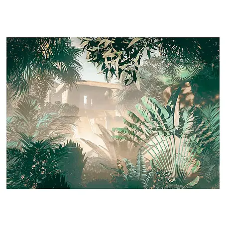 Komar  Fototapete Manoa