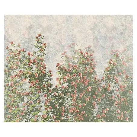 Komar  Fototapete Wall Roses