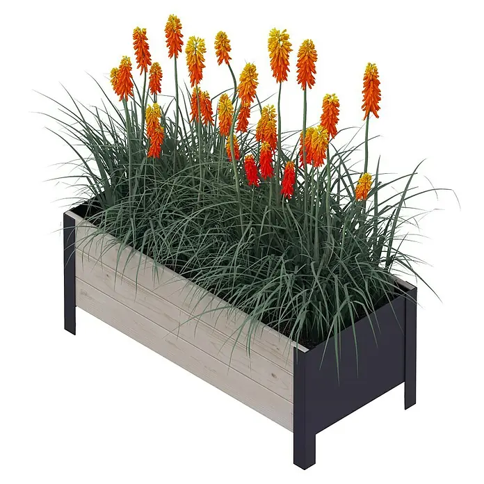 Upyard Pflanzkasten Modernbox niedrig - 78 x 36 x 32 cm, Holz, Grau/Schwarz - Eine elegante Holzkiste bepflanzt mit leuchtend roten und gelben Fackellilien, die einen Blickfang in jedem Garten oder auf jeder Terrasse darstellt.