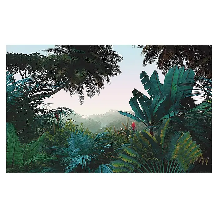 Komar Fototapete Jungle MorningB x H: 400 x 250 cm, Vlies