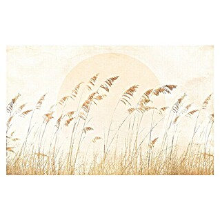 Komar Fototapete Dune Grass (B x H: 400 x 250 cm, Vlies)