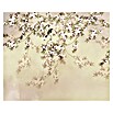 Komar Fototapete Love Birds (B x H: 200 x 250 cm, Vlies) | BAUHAUS