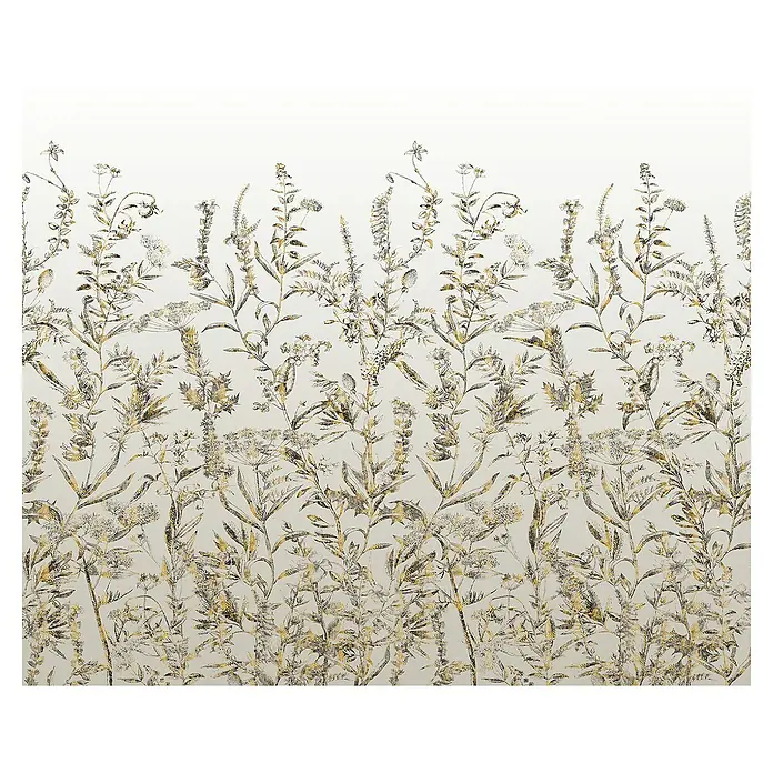Komar Fototapete Eldorado - B x H: 300 x 250 cm, Vlies - Dekorative Tapete mit filigranen Wildblumenmuster in Gold- und Grautönen, die eine natürliche und elegante Atmosphäre schafft.