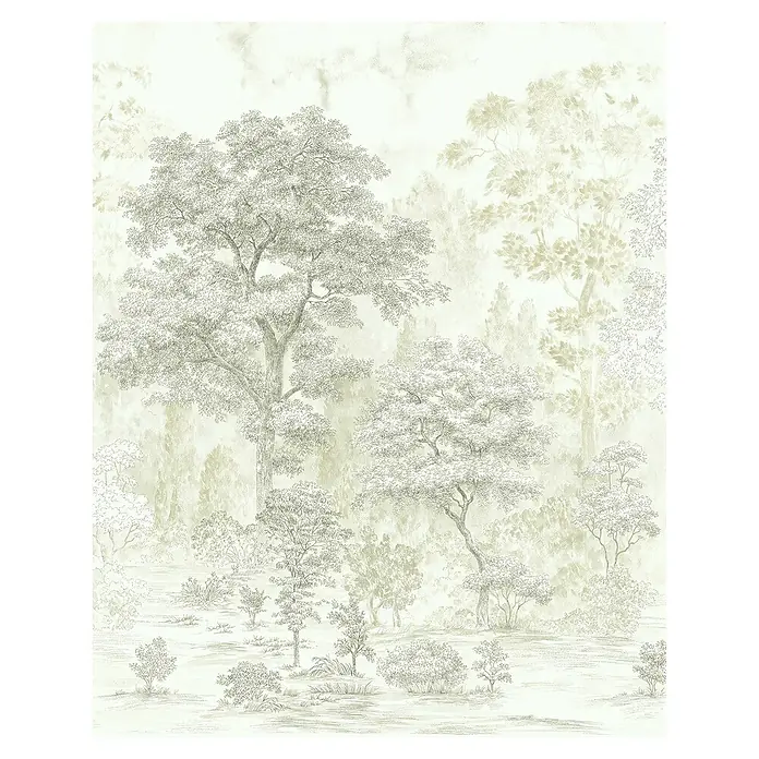Komar Fototapete Noble Trees - B x H: 200 x 250 cm, Vlies - Natur Tapete mit Baumzeichnung in ruhigen Farbtönen, ideal für ein entspanntes Ambiente in jedem Raum.
