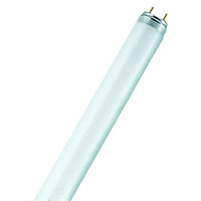 Osram Tubo fluorescente Lumilux - Largo: 121,4 cm, Blanco frío, 36 W, 3.250 lm, G13 - La imagen muestra un tubo fluorescente. Una lámpara alargada con clavijas en un extremo, diseñada para producir luz brillante e iluminar.
