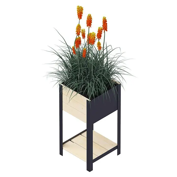 Upyard Hochbeet Modernbox hoch - 36 x 36 x 72 cm, Holz, Natur/Schwarz - Pflanzgefäß mit Fackellilien. Der Blumenkasten steht auf einem dunklen Holzgestell und ist mit roten und gelben Blumen bepflanzt.