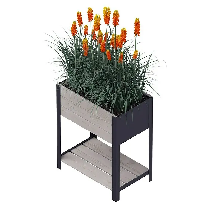 Upyard Hochbeet Modernbox hoch - 58 x 36 x 72 cm, Holz, Grau - Der erhöhte Pflanzkasten präsentiert blühende Fackellilien und Gräser, ideal für Garten und Balkon.