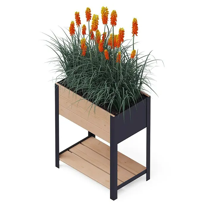Upyard Hochbeet Modernbox hoch - 58 x 36 x 72 cm, Holz, Braun/Schwarz - Ein Hochbeet aus Holz und Metall mit leuchtend orangefarbenen Fackellilien und blaugrünem Ziergras.