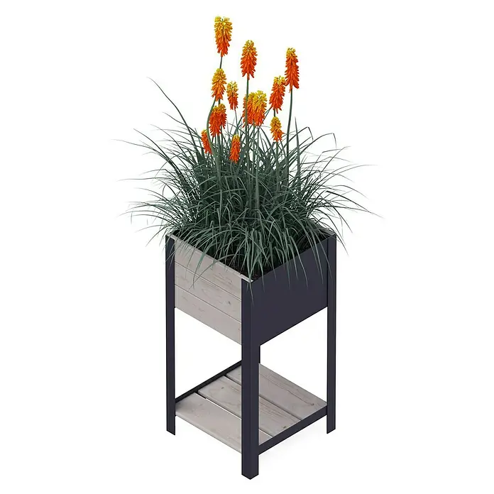 Upyard Hochbeet Modernbox hoch - 36 x 36 x 72 cm, Holz, Grau - Erhöhter Blumenkasten mit leuchtend orangefarbenen Fackelblumen und filigranem Gras, ideal für Garten und Terrasse.
