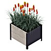 Upyard Pflanzkasten Modernbox tief (58 x 52 x 48 cm, Holz, Grau) | BAUHAUS