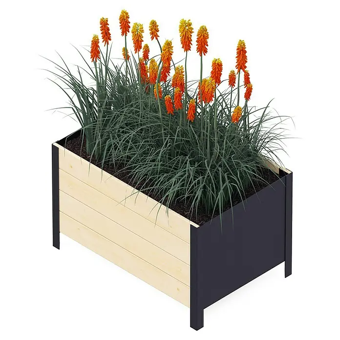 Upyard Pflanzkasten Modernbox tief - 78 x 52 x 48 cm, Holz, Natur - Blumenkasten mit Fackellilien. Ideal für Garten, Terrasse oder Balkon. Robuste Konstruktion und attraktives Design.