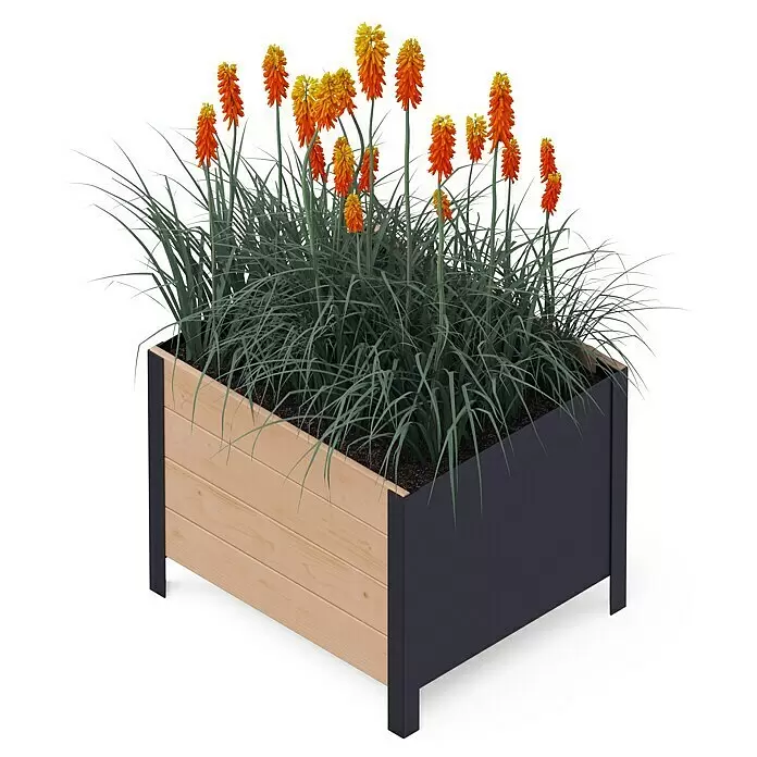 Upyard Pflanzkasten Modernbox tief - 58 x 52 x 48 cm, Holz, Braun - Anwendungsbeispiel