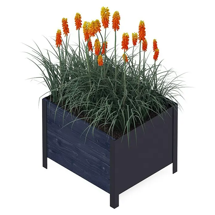 Upyard Pflanzkasten Modernbox tief58 x 52 x 48 cm, Holz, Schwarz - Blumenkasten mit leuchtend orangefarbenen Fackellilien und üppigem grünen Gras, eine dekorative Bereicherung für jeden Außenbereich.
