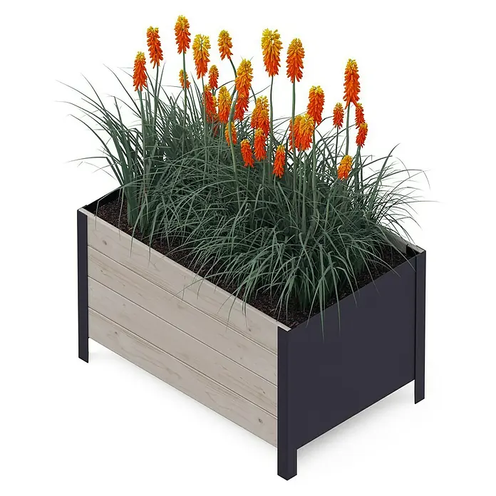 Upyard Pflanzkasten Modernbox tief - 78 x 52 x 48 cm, Holz, Grau - Pflanzkasten mit roten Fackellilien und dekorativem Gras. Der Kasten ist aus hellem Holz mit dunklen Akzenten, ideal für Garten und Terrasse.