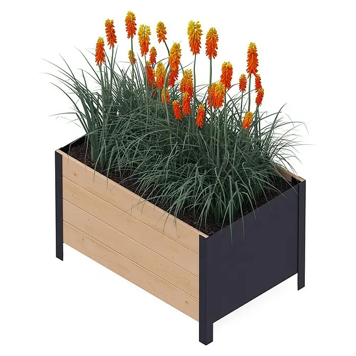 Upyard Pflanzkasten Modernbox tief - 78 x 52 x 48 cm, Holz, Braun - Blumenkasten mit Holzverkleidung und grauen Metallfüßen, bepflanzt mit farbenprächtigen Fackellilien und grünem Ziergras.