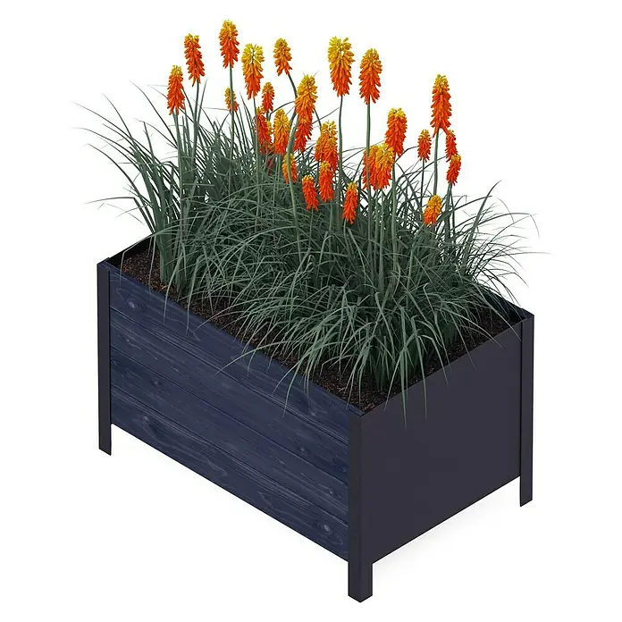 Upyard Pflanzkasten Modernbox tief - 78 x 52 x 48 cm, Holz, Schwarz - Der Pflanzkasten aus Holz und Metall beherbergt leuchtend rote Fackellilien, die eine schöne Farbkombination erzeugen.