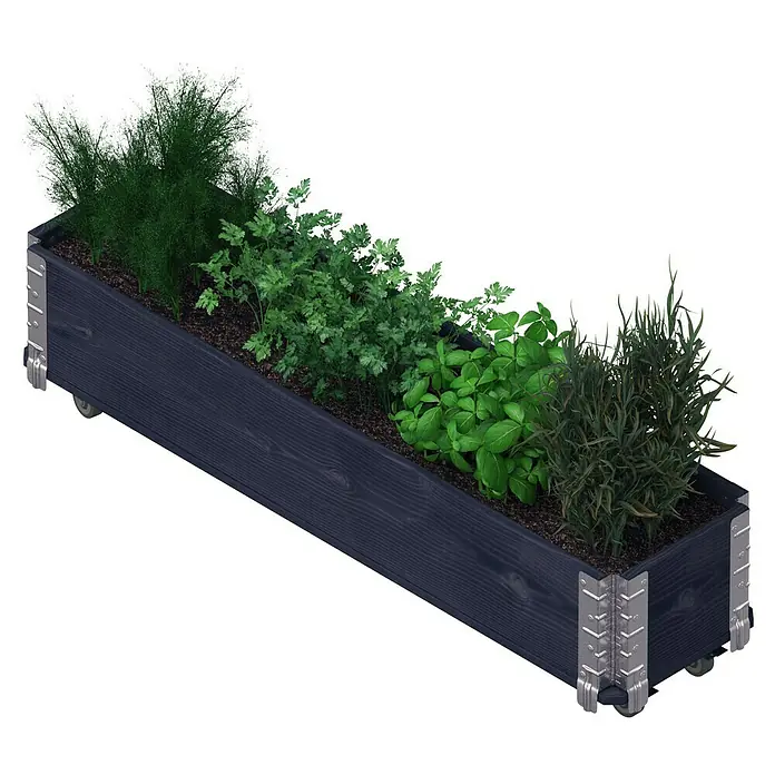 Upyard Kräuterkasten mit Rollen - Schwarz, 120 x 30 x 19,5 cm - Kräutergarten im dunkelblauem Pflanzkasten. Die verschiedenen Kräuter sehen frisch und gesund aus, ideal für die Küche.