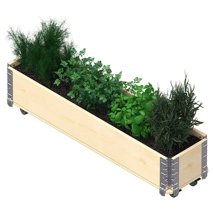 Upyard Kräuterkasten mit Rollen - Natur, 120 x 30 x 19,5 cm - Ein rechteckiges Hochbeet aus hellem Holz mit verschiedenen Kräutern bepflanzt, ideal für den Garten oder Balkon.