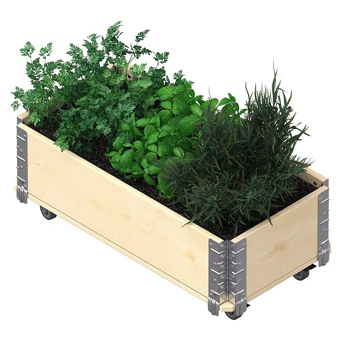 Upyard Kräuterkasten mit Rollen - Natur, 80 x 40 x 19,5 cm - Kräuterkasten auf Rädern mit Petersilie, Basilikum und Rosmarin, ideal für den flexiblen Einsatz im Garten oder auf der Terrasse.