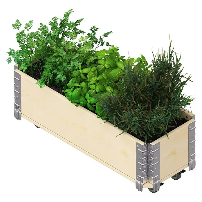 Upyard Kräuterkasten mit Rollen - Natur, 80 x 30 x 19,5 cm - Ein Pflanzkasten mit Kräutern wie Petersilie, Basilikum und Rosmarin. Der Kasten ist aus hellem Holz gefertigt und mit Metallwinkeln verstärkt.