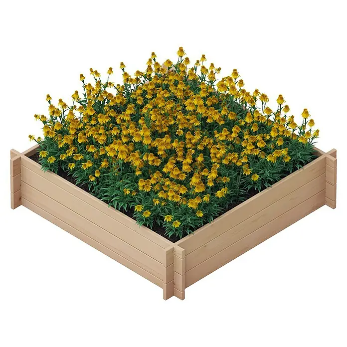 Upyard Hochbeet Multibox - L x B x H: 119 x 119 x 29,5 cm, Holz, Braun - Ein erhöhtes Gartenbeet aus Holz mit üppigen gelben Blumen, ideal für Gartenliebhaber.