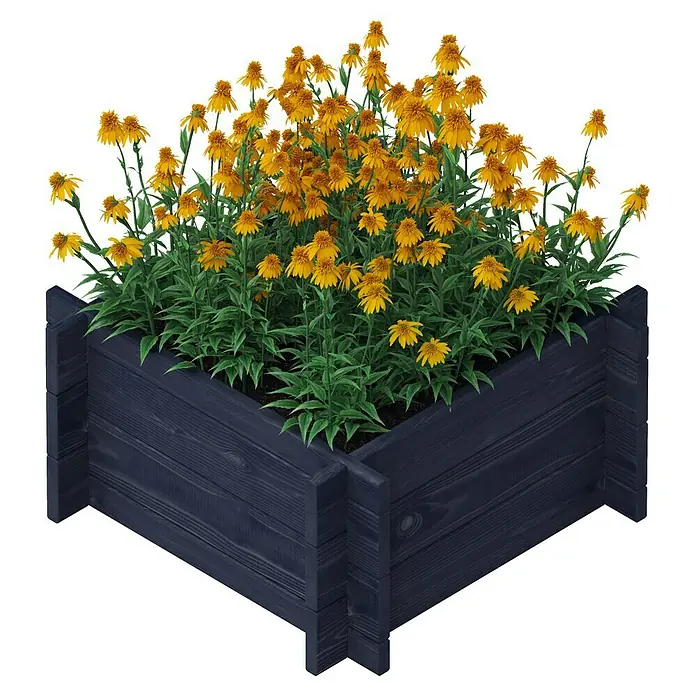 Upyard Hochbeet Multibox - L x B x H: 59 x 59 x 29,5 cm, Holz, Schwarz - Das erhöhte Blumenbeet aus Holz bietet Platz für goldgelbe Rudbeckia-Blumen und verleiht Ihrem Garten einen Farbtupfer.