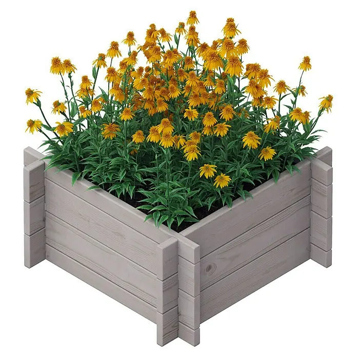 Upyard Hochbeet Multibox - L x B x H: 59 x 59 x 29,5 cm, Holz, Grau - Holzpflanzgefäß mit üppigen gelben Rudbeckia-Blüten, eine schöne Ergänzung für jeden Garten.