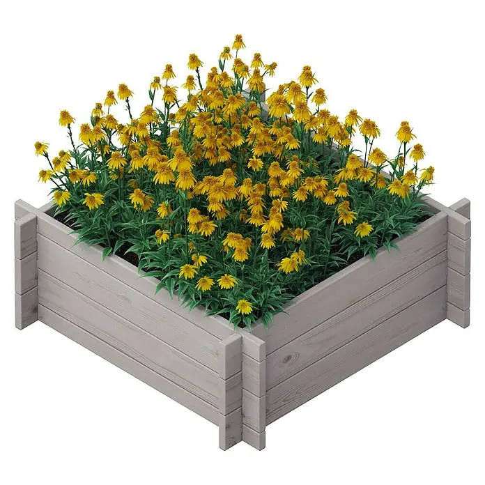 Upyard Hochbeet Multibox - L x B x H: 79 x 79 x 29,5 cm, Holz, Grau - Hübsch bepflanztes, hochgezogenes Gartenbeet aus Holz, bepflanzt mit leuchtend gelben Blumen und grünen Blättern.