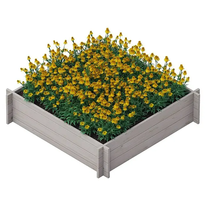 Upyard Hochbeet Multibox - L x B x H: 119 x 119 x 29,5 cm, Holz, Grau - Ein erhöhtes, quadratisches Holzbeet mit gelben Rudbeckia-Blumen, ideal für Gartenliebhaber, die Farbe und Struktur suchen.
