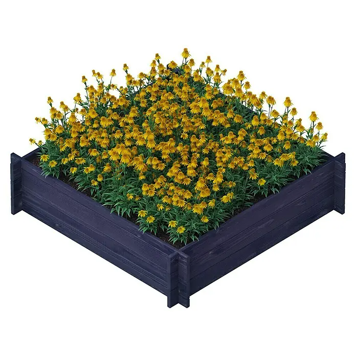 Upyard Hochbeet Multibox - L x B x H: 119 x 119 x 29,5 cm, Holz, Schwarz - Das Bild zeigt einen hochbeetartigen Pflanzkasten aus dunklem Holz, der voll mit gelben Rudbeckia-Blüten bepflanzt ist. Ideal für Gartenliebhaber!