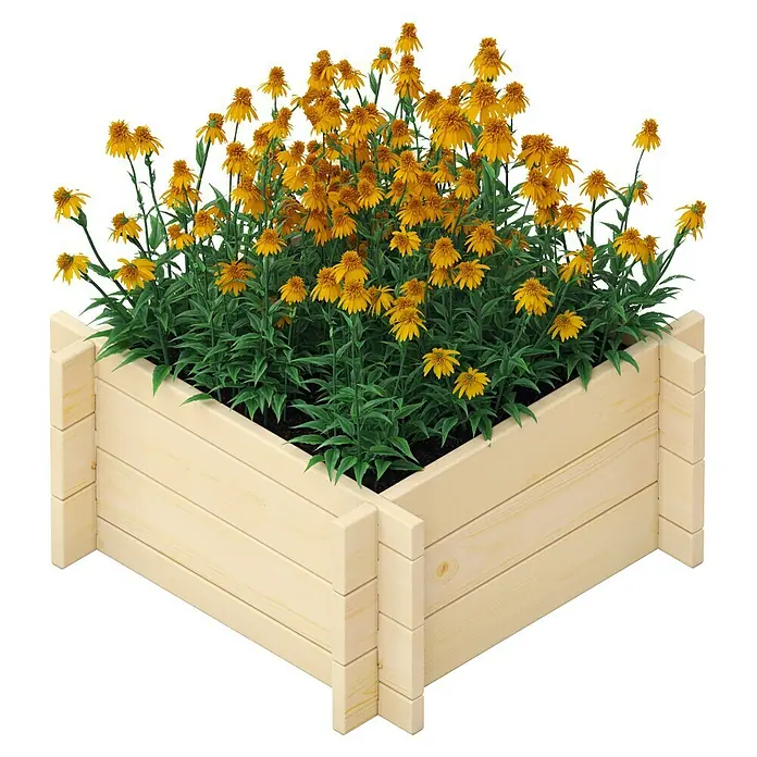 Upyard Hochbeet Multibox - L x B x H: 59 x 59 x 29,5 cm, Holz, Natur - Ein quadratisches Hochbeet aus hellem Holz mit üppigen, gelb blühenden Blumen, ideal für Garten und Terrasse.