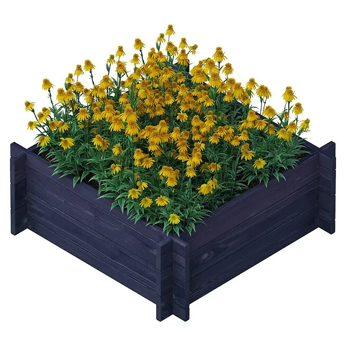 Upyard Hochbeet Multibox - L x B x H: 79 x 79 x 29,5 cm, Holz, Schwarz - Ein blauer Holzkübel voller gelber Rudbeckia Blumen, perfekt für den Garten oder die Terrasse. Die robuste Konstruktion sorgt für Langlebigkeit.
