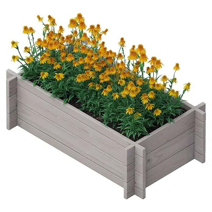 Upyard Hochbeet Multibox - L x B x H: 79 x 39,5 x 29,5 cm, Holz, Grau - Ein rechteckiger, erhöhter Pflanzkasten aus Holz mit gelben Rudbeckia-Blumen, ideal für Gartenliebhaber.