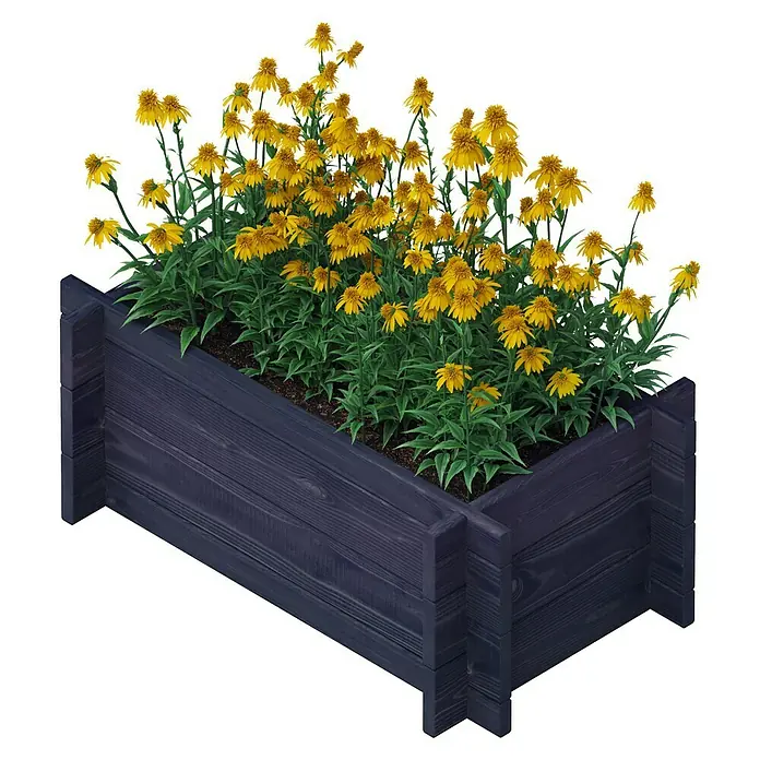 Upyard Hochbeet Multibox - L x B x H: 59 x 29,5 x 29,5 cm, Holz, Schwarz - Eine Nahaufnahme eines Holzkastens mit gelben Blumen, die darin gepflanzt sind. Der Holzkasten ist dunkelblau und hat eine rustikale Optik.