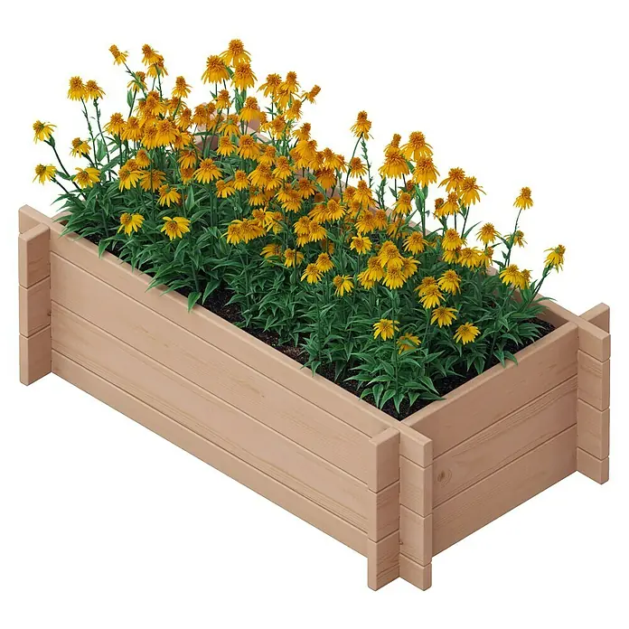 Upyard Hochbeet Multibox - L x B x H: 79 x 39,5 x 29,5 cm, Holz, Braun - Ein erhöhter Pflanzkasten aus Holz mit leuchtend gelben Rudbeckia Blumen, eine attraktive Ergänzung für jeden Garten oder Balkon.