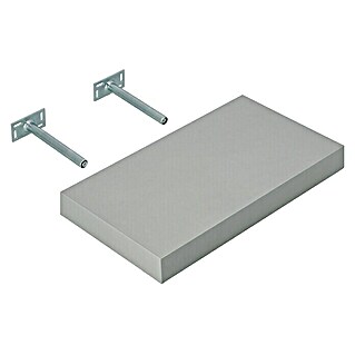 Dolle Wandboard Big Boy (L x B x H: 44,5 x 25 x 5 cm, Silber, Belastbarkeit: 30 kg)