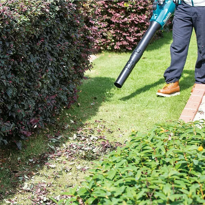 Makita LXT 18V Akku-Gebläse DUB184Z - 18 V, Ohne Akku, Blasgeschwindigkeit: 52,1 m/s - Ein Mann benutzt einen Makita Laubbläser im Garten, um Blätter von einem Rasen zu entfernen.