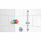 Tesa Pršni drog  (Višina: 65,5 cm, Sijaj) | 3734 - Brause Zub. QM | DAFE - Brausen und Zubehör QM | DAF - Armaturen Brausen | DA - Badausstattung/Bäderwelt | D - Sanitär | BAUHAUS