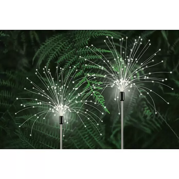 BAUHAUS Lámpara decorativa solar Fireworks - Negro, IP44, Color de luz: Blanco cálido - Dos luces solares LED de exterior con diseño de estrella, con luces blancas en cables flexibles, iluminando follaje oscuro.