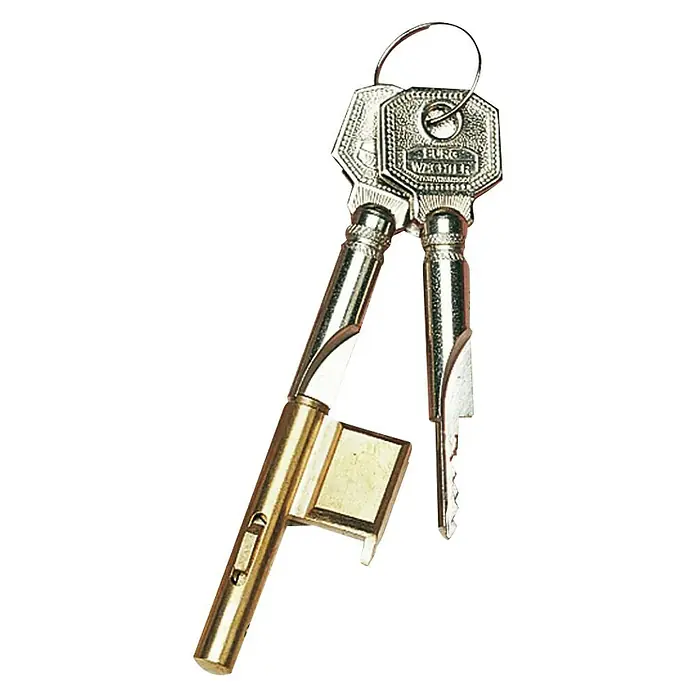 Burg-Wächter Schlüssellochsperrer E 700/2 - Anzahl Schlüssel: 2 Stk., Mit Anschlag, Durchmesser Zylinder: 7 mm - Ein Paar Briefkastenschlüssel mit einem silberfarbenen Schlüsselanhänger und einem goldenen Zylinderteil vor schwarzem Hintergrund.