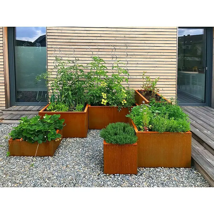 Palatino Exclusive Line Pflanzkasten Carlotta - Außenmaß (L x B x H): 100 x 100 x 25 cm, Metall, Rotbraun - Hübsch bepflanzte, moderne Pflanzkästen aus Cortenstahl. Die modularen Stahl Pflanzgefäße mit Gemüse, Kräutern und Erdbeeren zieren den Garten.