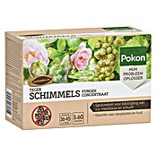 Pokon Schimmelbescherming Fungex Concentraat (3 st.) | BAUHAUS