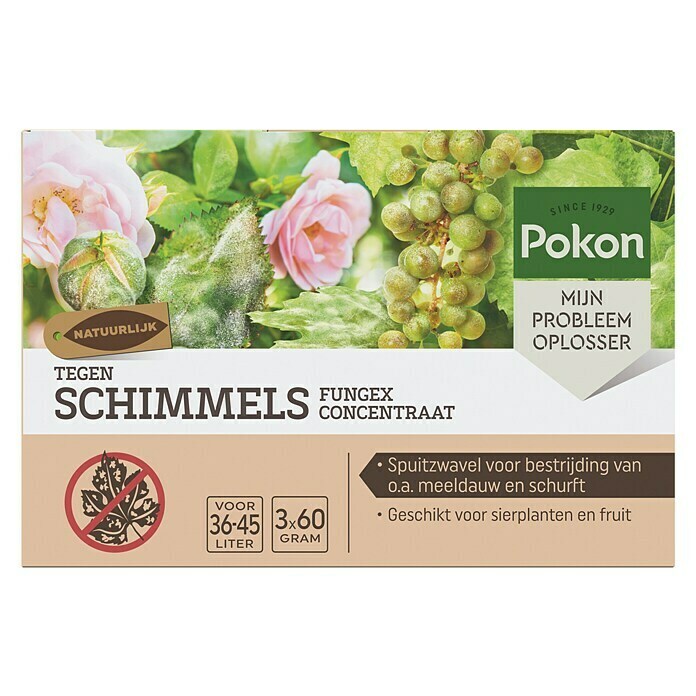 Pokon Schimmelbescherming Fungex Concentraat (3 st.) | BAUHAUS