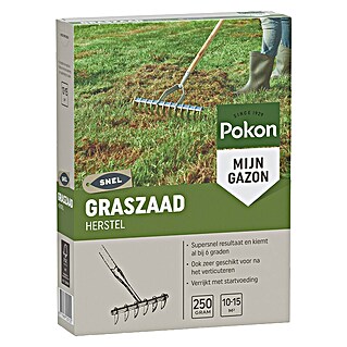 Pokon Gazonreparatie graszaad (250 g, Zaaigoed-voldoende voor: 10 m² - 15 m²)