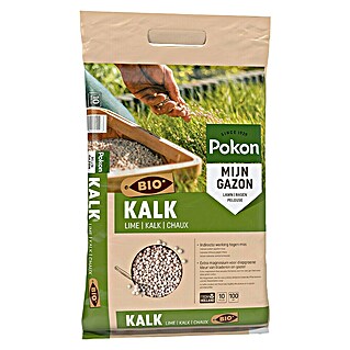 Pokon Gazonkalk (10 kg, Max toepassingsvlak: 100 m²)